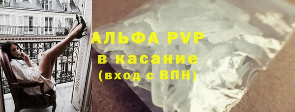 СК Вязьма