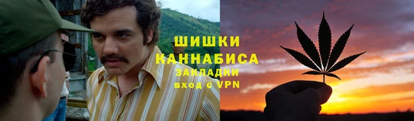 СК Вязьма