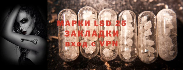 СК Вязьма