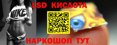 шишки Изобильный