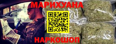 шишки Изобильный