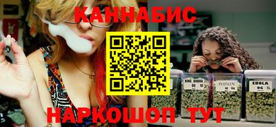 шишки Изобильный