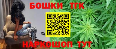 шишки Изобильный