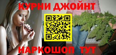 шишки Изобильный