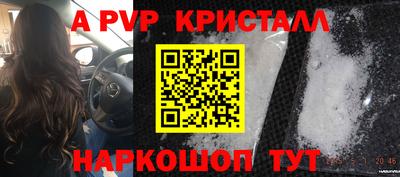 шишки Изобильный