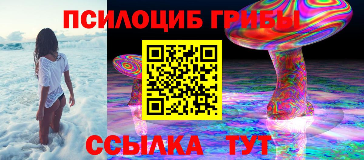 Псилоцибиновые грибы Psilocybine cubensis  Вход с VPN  Псилоцибиновые грибы мухоморы  Можайск 